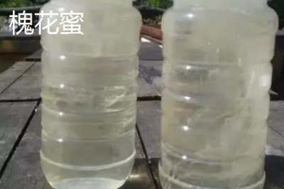 百花蜜的食用方法,适合在晚餐1-2小时后饮用