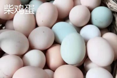 柴鸡蛋和普通鸡蛋的区别,外形和蛋黄均不同