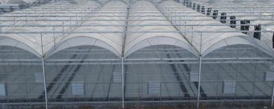 冬季大棚为什么温度低,可能是棚膜出现破损所导致