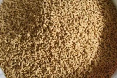 鹅吃什么，杂食性动物什么都吃