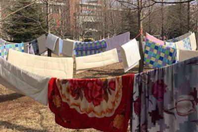 跳蚤的天敌,蜻蜓、蝾螈、鸟类等