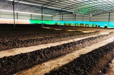 买回来的蚯蚓怎么长期养,需控制好湿度和酸碱度等