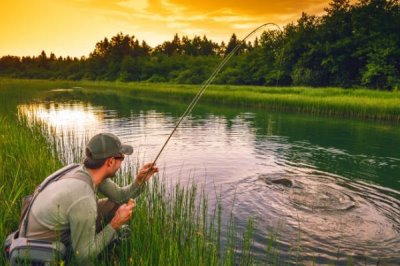 垂钓黄辣丁的技巧，垂钓前可用蚯蚓、骨粉、禽畜内脏等饵料打窝
