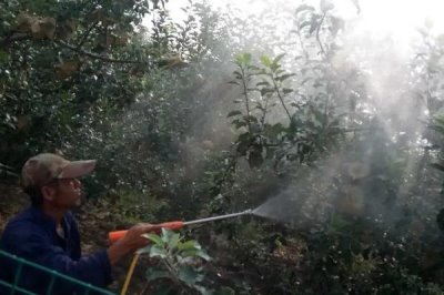 波尔多液使用方法,针对不同作物的使用方法不同