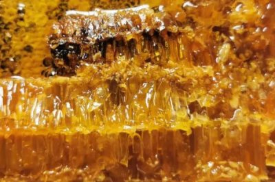 蜂巢蜜太甜是真的吗，甜度与真假无关