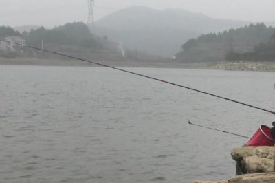 传统钓是什么,泛指除台钓和路亚钓外的其他钓法