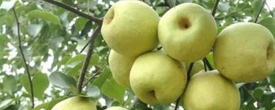 山西晋中市的特产，是国家级文化生态保护实验区