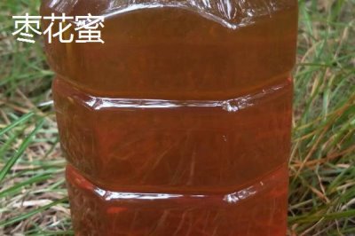 柑橘蜜和枣花蜜哪个好，前者的色泽和口感都更优