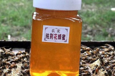 桐花蜜简介,蜜源包括玄参科泡桐、大戟科油桐等