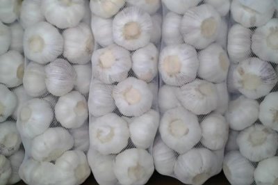 利用大蒜自制农药的方法,有以下4种