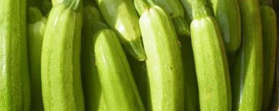 如何避免西葫芦落花落果,温度、光照都需要控制好