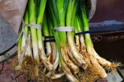 葱的保存方法，可清水养和土埋