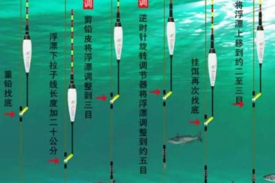 台钓鲤鱼如何有效调漂,先重铅找底、再逐渐修剪铅皮