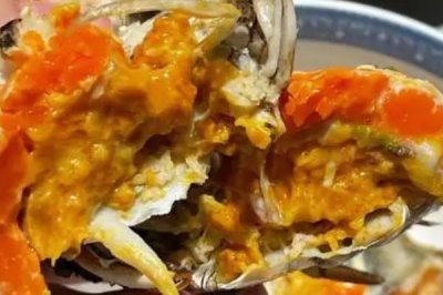 如何挑选蟹黄多的母蟹,鲜活、体重、肚脐饱满的母蟹品质更好