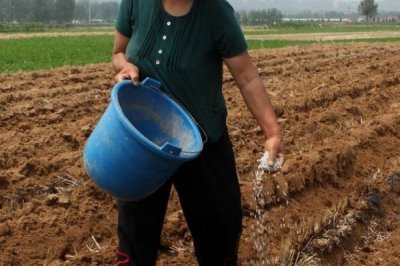 过磷酸钙有几种施用方式,可以作基肥、种肥、追肥和根外施肥