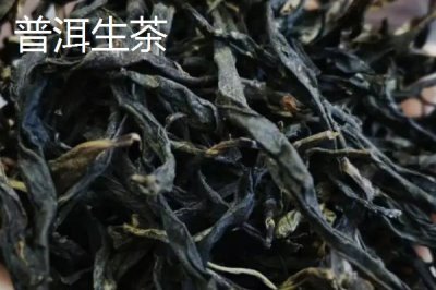 普洱茶的产地,主产于云南省