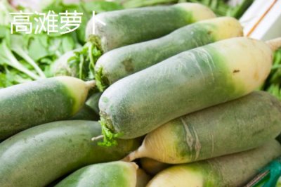 安徽省萧县的特产,高滩萝卜久负盛名