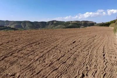 小粒黄豆的栽培技术,播种前要晾晒好种子