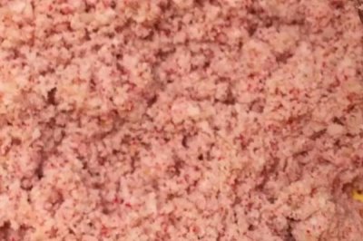 钓麦穗鱼用什么饵料好，荤素兼食