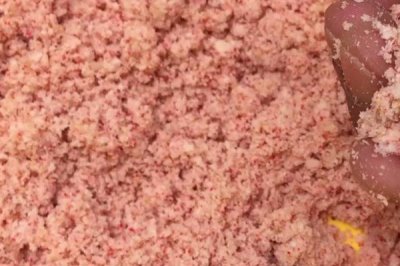 适合用来钓鳙鱼的饵料，臭味饵料的引诱效果更好