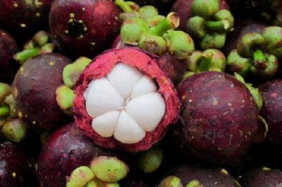 山竹的产地,主要集中在热带地区