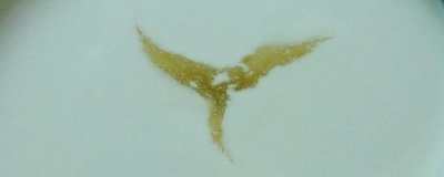 酸奶冷藏后表面为何会出现一层黄水，可能是乳清析出所导致