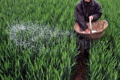 施肥的注意事项，以下5点需谨记