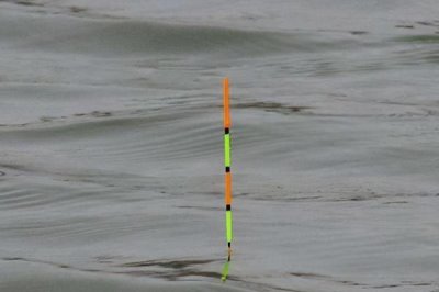 野钓的意思,是指在天然水域中作钓