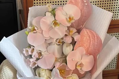 蝴蝶兰的花语，寓意事业发达、事事顺心等