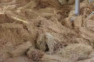 北方冬天怎么给猪圈增温，安装供暖设备可以提高温度