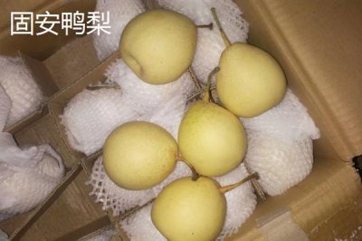 河北固安的特产,有矿泉水、油酥饽饽、胡记烧鸡等