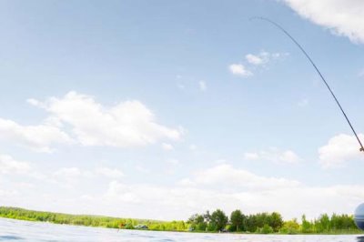 3-4月份为什么不钓鱼，主要是为了让鱼类正常繁殖