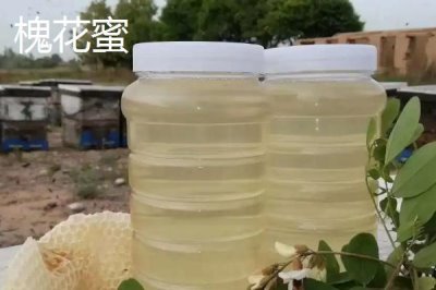 百花蜜的食用方法,适合在晚餐1-2小时后饮用