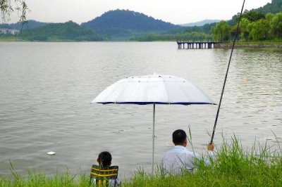 草鱼的钓法,用海竿最好