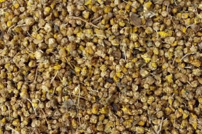 种植中草药的方法,因地选择品种