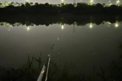 秋天夜钓用什么饵料,可选自然饵料、商品饵料或自制饵料