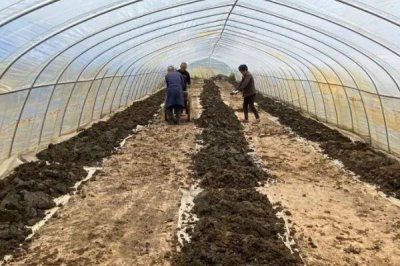 买回来的蚯蚓怎么长期养,需控制好湿度和酸碱度等