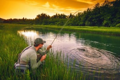 钓鲫鱼实用技巧,一年四季都可以作钓