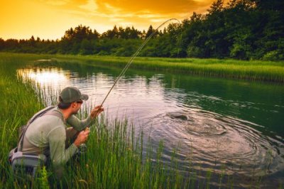垂钓军鱼的方法，可采用手竿钓、抛竿钓等方式