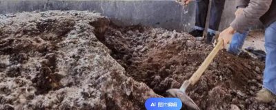 判断饼肥是否完成发酵的方法,轻微成团、散发出酵甜味便表示成功发酵