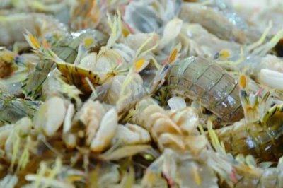 鲜虾的保存方法,可使用塑料瓶、保鲜盒、保鲜袋进行保存