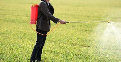 肥液能不能喷施花叶,喷施浓度为0.1%