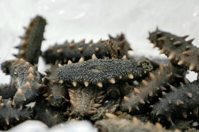 山东烟台市长岛的特产,有金钩海米、长岛海带等