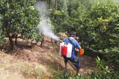 唑醚代森联可以与磷酸二氢钾混用吗，混合使用没问题
