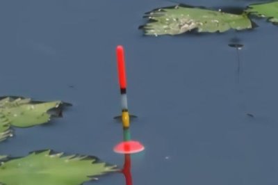 大肚漂中鱼后是什么漂相,主要有黑漂、顿口、移漂、送漂等