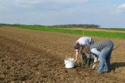 复合肥的标准标识，应标注出养分含量、国家标准肥料名称等信息