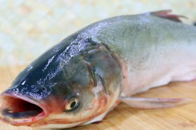 新关东钩的优缺点，优点是可垂钓大型鱼类、缺点是对吸食型鱼类的中鱼率偏低