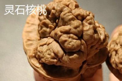 山西省晋中市灵石县的特产，有酸枣仁、荆条蜂蜜等