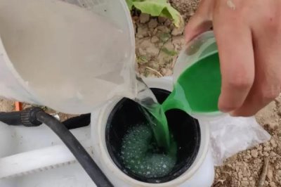 吡虫啉70兑水的使用方法,2-3g兑水45-60公斤