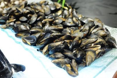 海虹的价格,内陆地区的售价高于沿海地区